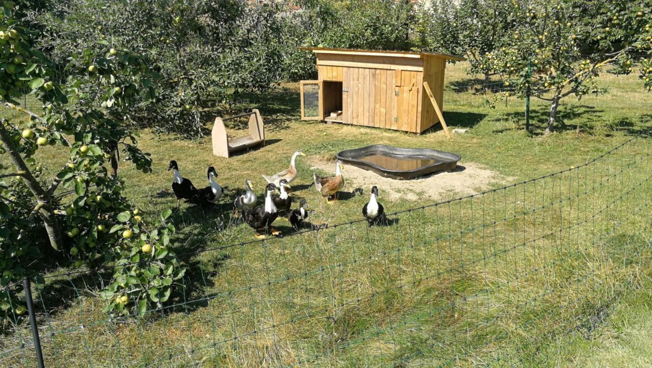 Ferienwohnung Jennys Hofladen Usedom Town Exterior foto