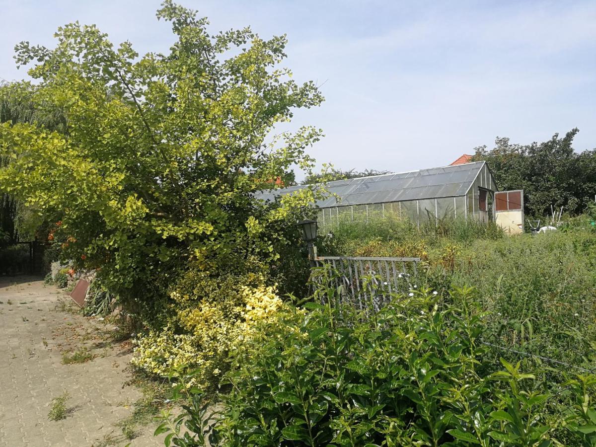 Ferienwohnung Jennys Hofladen Usedom Town Exterior foto